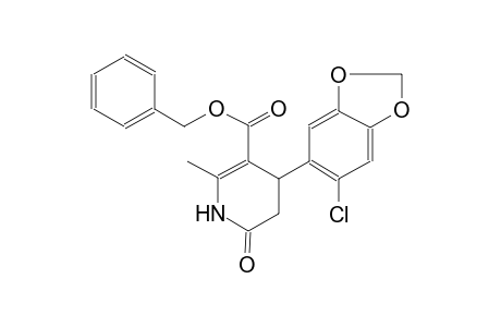 benzyl 4-(6-chloro-1,3-benzodioxol-5-yl)-2-methyl-6-oxo-1,4,5,6-tetrahydro-3-pyridinecarboxylate
