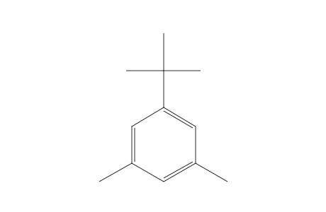 5-tert-Butyl-m-xylene