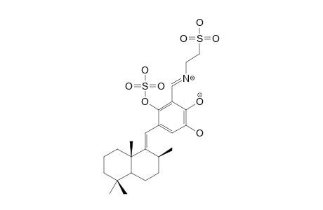 SIPHONODICTYAL_B1