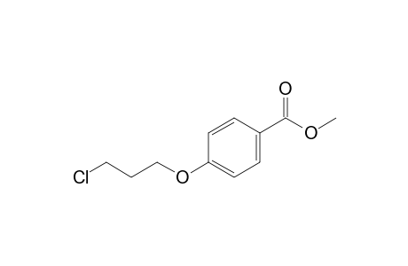p-(3-chloropropoxy)benzoic acid, methyl ester