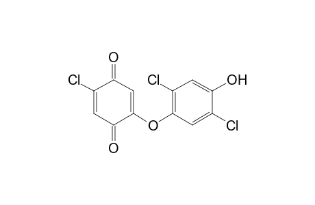 4-(4-Chloro-3,6-dioxocyclohexa-1,4-dienyloxy)-2,5-dichlorophenol