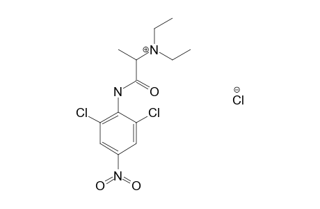 2',6'-dichloro-2-(diethylamino)-4'-nitropropionanilide, monohydrochloride