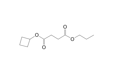 Succinic acid, cyclobutyl propyl ester