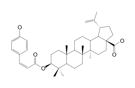 3-BETA-O-CIS-COUMAROYLBETULINIC_ACID