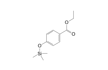 ethyl 4-trimethylsilyloxybenzoate