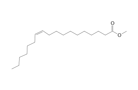 cis-Vaccenic acid methyl ester