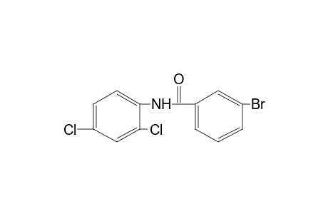 3-bromo-2',4'-dichlorobenzanilide