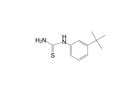 1-(m-tert-BUTYLPHENYL)-2-THIOUREA