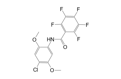 N-(4-chloro-2,5-dimethoxyphenyl)-2,3,4,5,6-pentafluorobenzamide