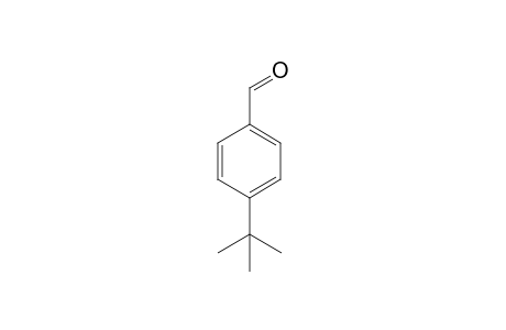 4-tert-Butylbenzaldehyde