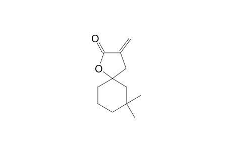 7,7-Dimethyl-3-methylen-1-oxaspiro-[4.5]-decan-2-on