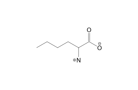 DL-norleucine