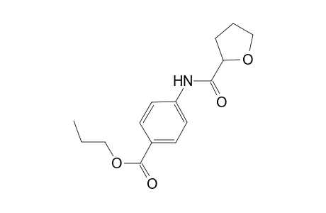 Propyl 4-[(tetrahydro-2-furanylcarbonyl)amino]benzoate