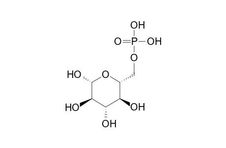 D-Glucose 6-phosphate