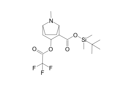 Cocaine-M (ecgonine) TFATBDMS       @