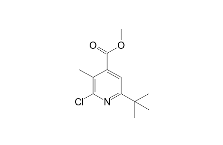 6-tert-butyl-2-chloro-3-methyl-isonicotinic acid methyl ester