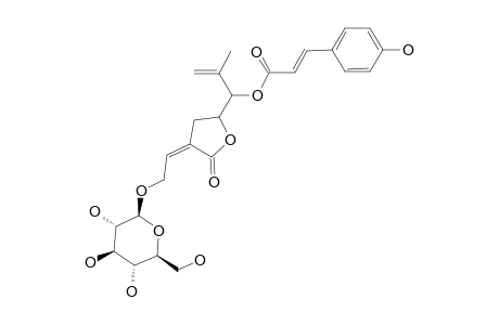 PRUNIOSIDE-A;2-(2-O-BETA-D-GLUCOPYRANOSYLETHYLENE)-4-(1-O-COUMAROYL-2-ISOBUTENYL)-GAMMA-BUTYROLACTONE