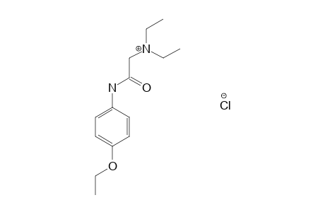 2-(diethylamino)-p-acetophenetidide, monohydrochloride