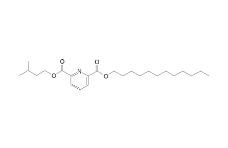 2,6-Pyridinedicarboxylic acid, dodecyl 3-methylbutyl ester