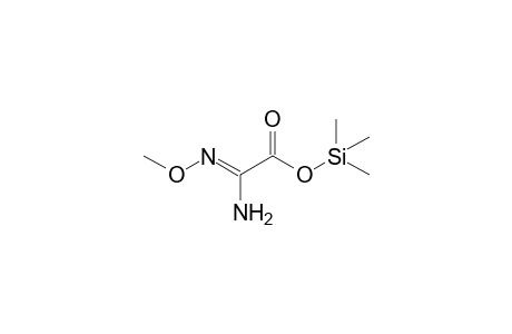 Oxamic acid,O-TMS MEOX