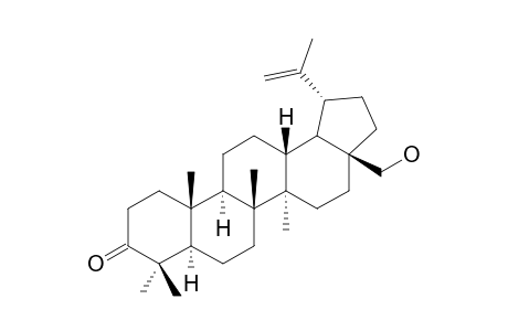 BETULONE;LUP-20(29)-EN-28-OL-3-ONE