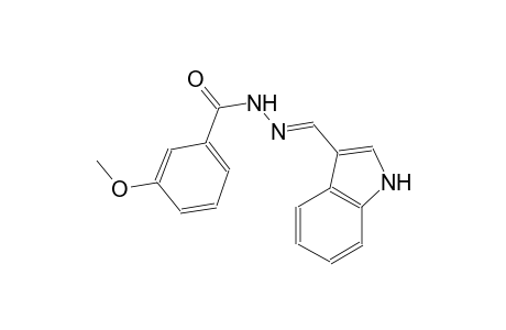 N'-[(E)-1H-indol-3-ylmethylidene]-3-methoxybenzohydrazide