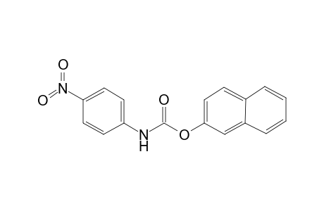 2-Naphthyl 4-nitrophenylcarbamate