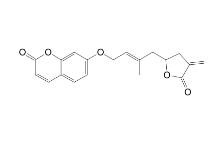 EXCAVARIN-A;7-[(2E)-4-(4,5-DIHYDRO-3-METHYLENE-2-OXO-5-FURANYL)-3-METHYLBUT-2-ENYLOXY]-COUMARIN