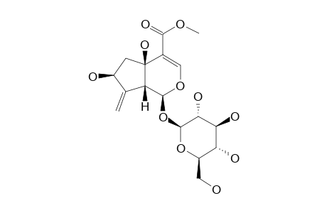 STRICTOLOSIDE