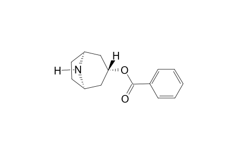 Nortropacocaine