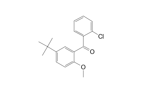 5-Tert-butyl-2'-chloro-2-methoxybenzophenone