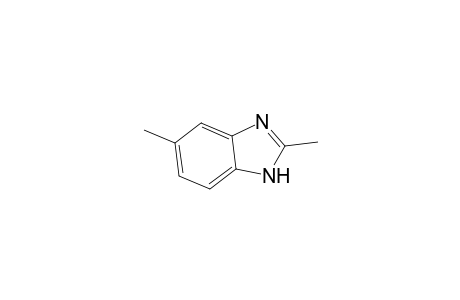 2,5-dimethylbenzimidazole