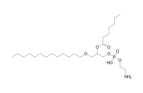 PE O-13:0_7:0