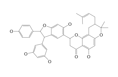 LEACHIANONE-C