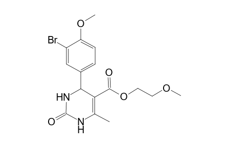 2-Methoxyethyl 4-(3-bromo-4-methoxyphenyl)-6-methyl-2-oxo-1,2,3,4-tetrahydro-5-pyrimidinecarboxylate