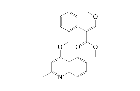 Benzeneacetic acid, alpha-(methoxymethylene)-2-[[(2-methyl-4-quinolinyl)oxy]methyl]-, methyl ester