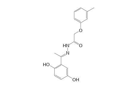 N'-[1-(2,5-Dihydroxyphenyl)ethylidene]-2-(3-methylphenoxy)acethydrazide