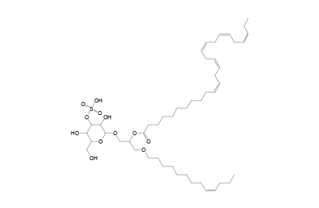 SMGDG O-13:1_26:5