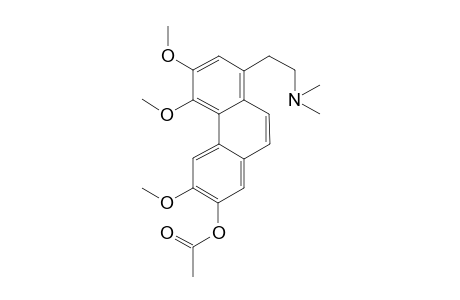 Lauroscholtzine-M/artifact MEAC