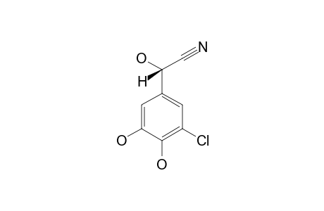 (RAC)-3-CHLORO-ALPHA-4,5-TRIHYDROXY-BENZENE-ACETONITRILE