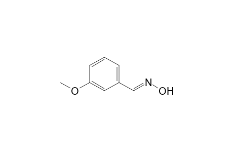 META-METHOXYBENZALDOXIM