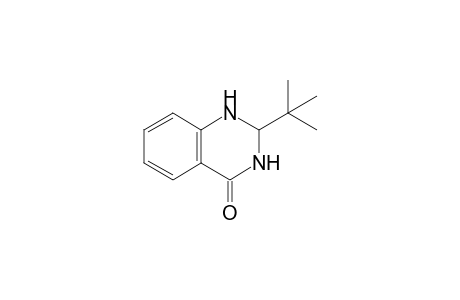 2-tert-Butyl-2,3-dihydro-1H-quinazolin-4-one