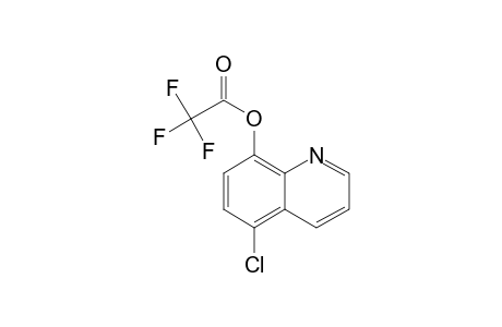 5-Chloro-8-hydroxyquinoline, trifluoroacetate