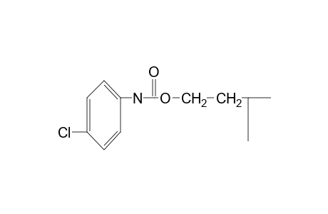 p-chlorocarbanilic acid, isopentyl ester