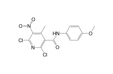 2,6-Dichloro-N-(4-methoxy-phenyl)-4-methyl-5-nitro-nicotinamide