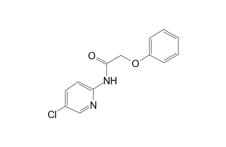 N-(5-chloro-2-pyridinyl)-2-phenoxyacetamide