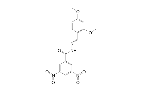 N'-[(E)-(2,4-Dimethoxyphenyl)methylidene]-3,5-dinitrobenzohydrazide