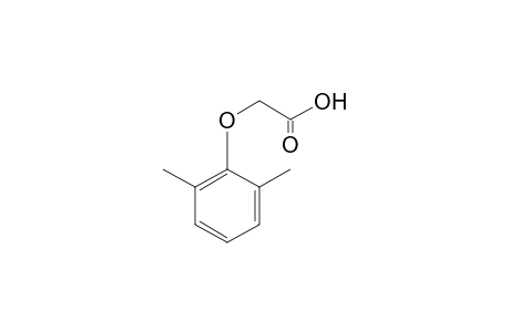 2,6-Dimethylphenoxyacetic acid