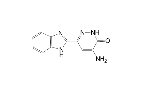 4-amino-6-(1H-benzimidazol-2-yl)-3(2H)-pyridazinone