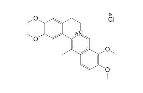DEHYDRO-CORYDALINE-CHLORIDE